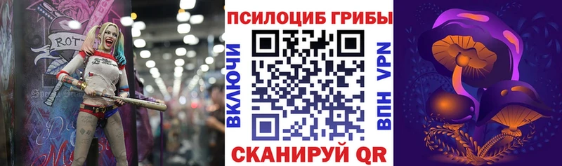 Галлюциногенные грибы мицелий  Ипатово 
